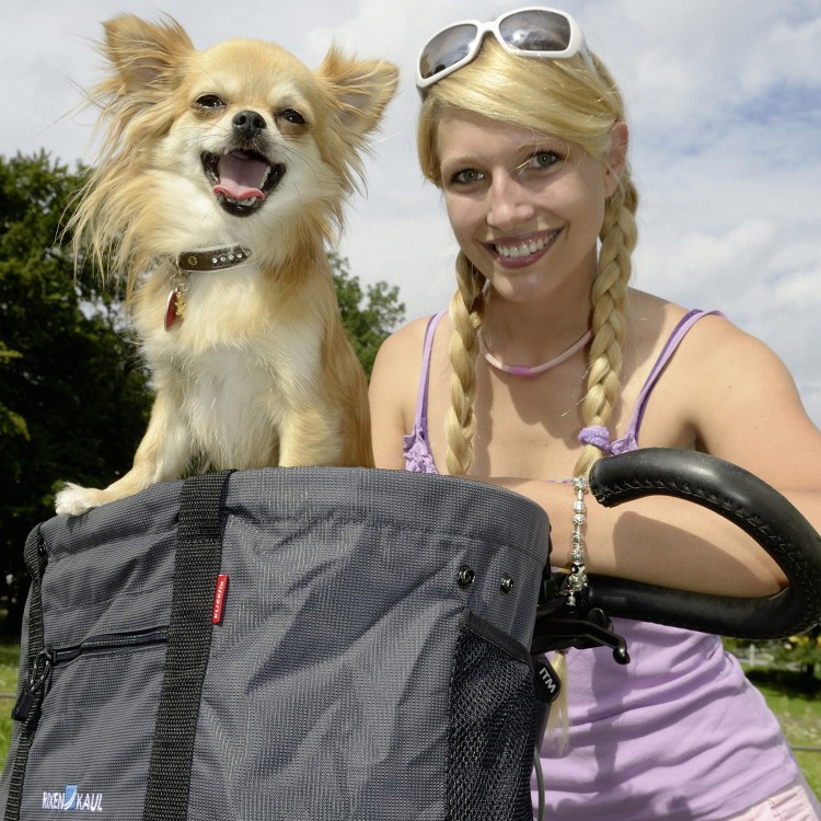 Torba dla psa na rower KLICKfix Doggy