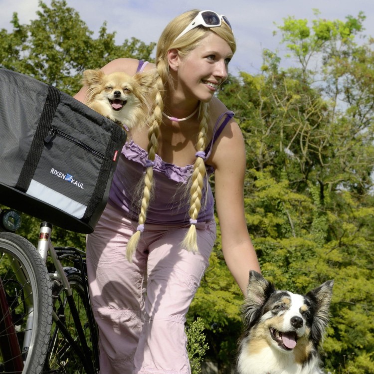 Torba dla psa na rower KLICKfix Doggy