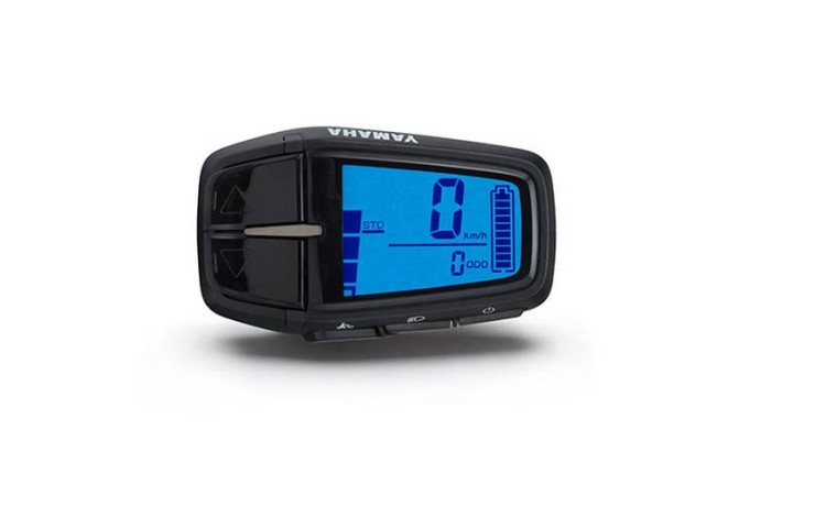 Display--Yamaha-LCD-4055149604806.JPG