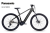 rower-elektryczny-lectron-esconder-psx-pro-16-5.png