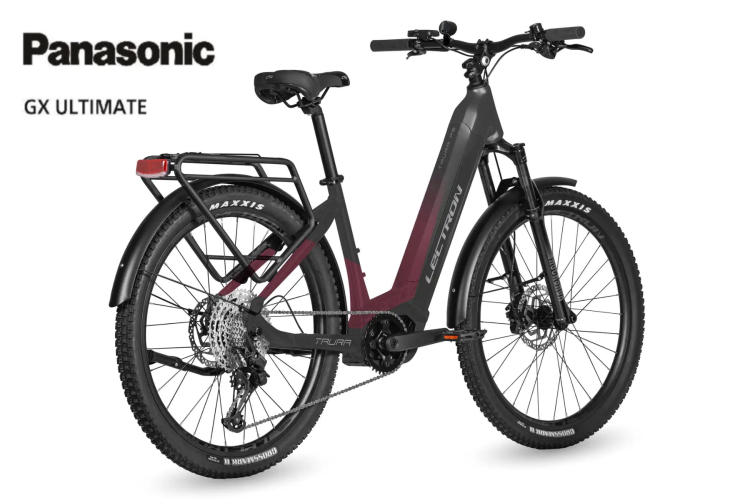 lectron-taura-ps-19-panasonic-gx-ultimate-800wh.png
