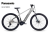 rower-elektryczny-lectron-esconder-ps-19.png