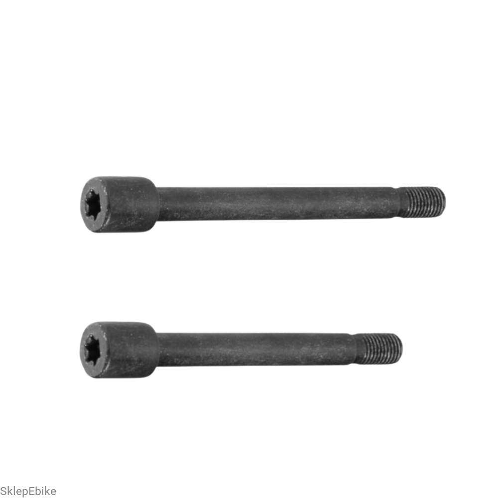 Zestaw śrub Drive Unit Bosch Active Line Gen3