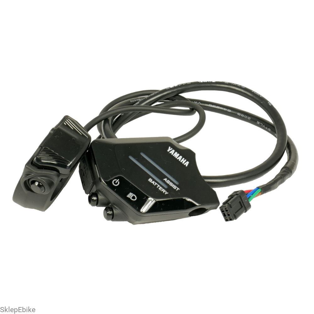 Display Yamaha Interface X 2022