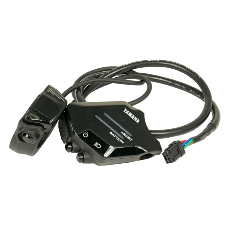 Display Yamaha Interface X 2022