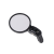 Li (6).png