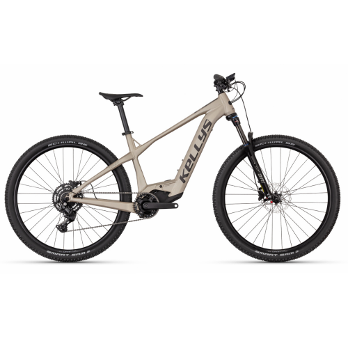 Kellys Tayen RS10 P 29" 725Wh szary